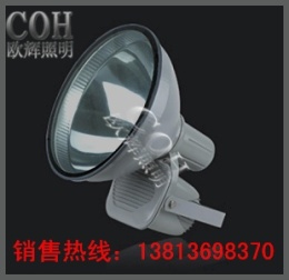 抗震投光灯-CNT9160-抗震型投光灯
