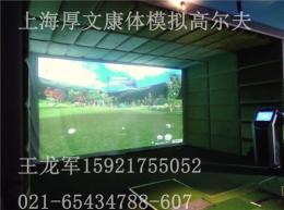 高科技SCREEN ZON 10 左右手室内模拟3D高尔夫