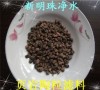 北京页岩陶粒滤料