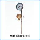 热电阻 热电偶 WSS系列带热电偶 阻