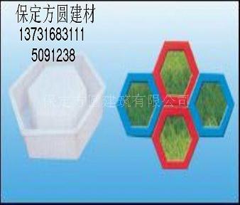 四川省彩瓦聚丙模盒模具/方圆护坡模盒厂/实心六角护坡