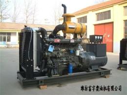 潍坊柴油机 柴油发电机组大世界 质量可靠 价格优惠