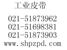 滨州提供包装输送带----上海PVC生产商鹏钟总厂