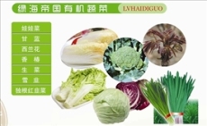 寿光有机蔬菜/有机蔬菜/有机套菜/有机蔬菜礼盒-寿光绿海