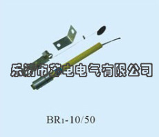 浙江产BR1-10/50 BR1-10/100电容器保护熔断器