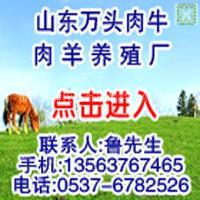 供应道县养牛场 道县养羊场