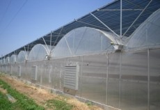 智能玻璃温室/蔬菜玻璃温室/玻璃温室大棚-盛丰温室工程