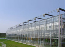 玻璃板温室/玻璃连栋温室/连栋玻璃温室/玻璃板连栋温室