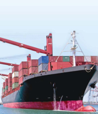 天津到云浮河源集装箱运输 展航海运提供全程服务