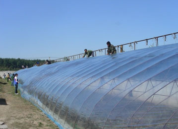 建造温室大棚哪里好 当选胜景温室工程