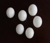 塑料球厂家 塑料球价格 塑料球规格