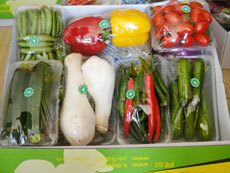 纯天然有机绿色食品 蔬菜礼盒 蔬菜礼品卡