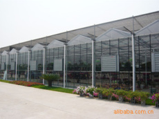 文洛式玻璃温室建造标准/文洛式玻璃温室设计安装
