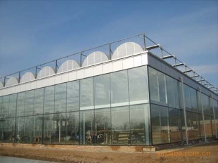 连栋薄膜温室建造标准/连栋薄膜温室设计安装