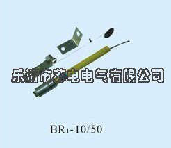 浙江BR1-10/50 BR1-10/100并联电力电容器保护熔断器