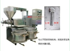 榨油機 山東榨油機價格 山東榨油機供應