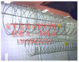 厂区围栏网/围墙护栏网/公路两侧围栏网/钢筋焊接网