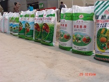 黄瓜的夏 秋季栽培技术要点 济南鲁青种苗有限公司