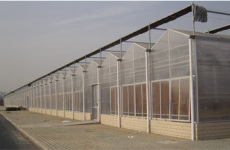 日光温室建造/保温被厂家/玻璃板温室技术/寿光胜景