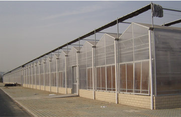 日光温室建造/保温被厂家/玻璃板温室技术/寿光胜景