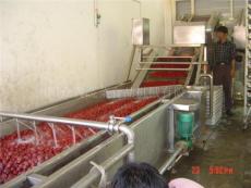 红枣清洗机 红枣生产线
