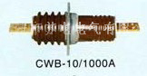 好品质 CWB-10/630A CWB-10/1000A乐清苏电打造