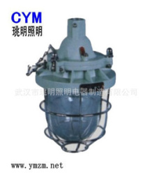 BAD53系列隔爆型防爆燈 防水防塵防爆照明燈