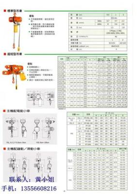 供应恒杰力起重批发台湾永升牌环链电动葫芦YSH-300