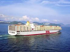 东莞海运服务 提供东莞到迪拜货代 东莞国际海运