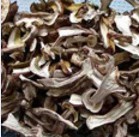 松茸干片 銷售松茸干片 批發(fā)松茸干片 松茸干片經(jīng)銷