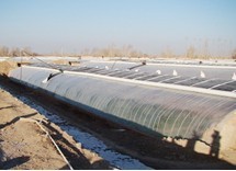 日光温室建设哪家更优惠 首选青州鑫和温室园艺有限公司