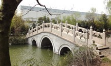 庭院景观 苏州庭院景观 苏州庭院景观设计 听雨庭院景观