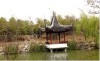 听雨-苏州庭院花园设计 苏州庭院园林绿化 苏州庭院景观