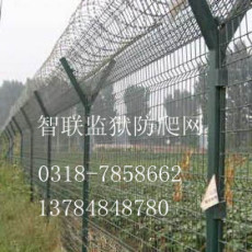 供应监狱围栏 监狱防爬网价格 监狱围网材料-安平智联