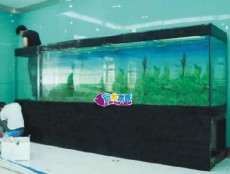 广州大型鱼缸生产厂家量身定做专业水族箱