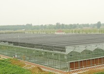 连栋温室建设 日光温室建设首选青州市鑫和温室园艺