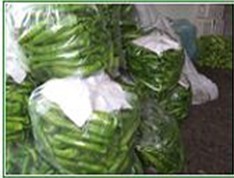求购绿色有机蔬菜首选青州京青农业合作社