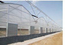 承接连栋温室大棚建设 蔬菜大棚基地建设-青州鑫和
