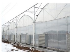 专业策划设计建造日光温室大棚 连栋温室大棚-青州鑫和