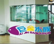 广东省订做生态鱼缸生产厂家巨金水族箱品牌鱼缸定做
