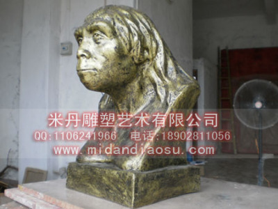 北京猿人头像 历史模型 教学设备模型