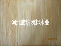 哈尔滨全松建筑模板加工 全松模板销售 天然木皮价格团起
