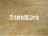 北京全松建筑模板 全松模板厂家 全松模板价格廊坊团起
