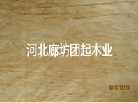 北京全松建筑模板 全松模板厂家 全松模板价格廊坊团起