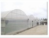 蔬菜温室大棚建设哪里最专业 寿光海能