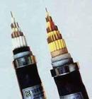 安徽天长变频电缆变频电缆生产厂家变频电缆全国销售代理