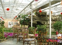 山东哪里承建生态餐厅 青州市鑫和温室园艺有限公司