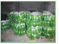 有機蔬菜基地 有機蔬菜生產(chǎn)基地---京青農(nóng)業(yè)合作社