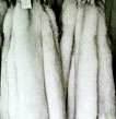 淘皮革皮草皮包到常州金坛万和奥特莱斯比海宁的价格低