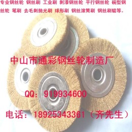 廣東銅絲輪 銅絲拋光刷 鍍銅鋼絲平行輪